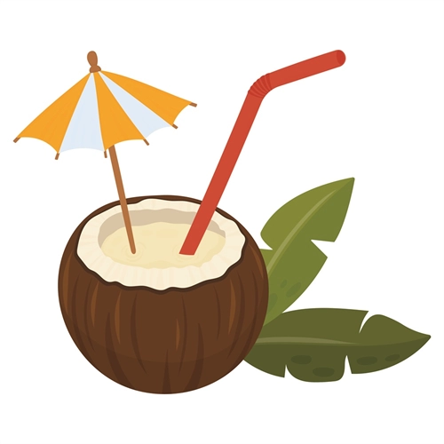 Summer Theme Coconut Drink Transparent Sticker